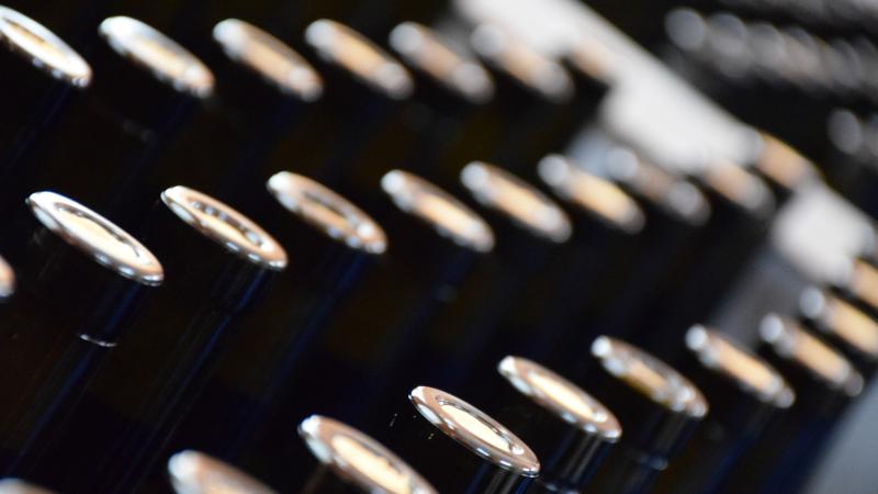 Wine bottles in a row.